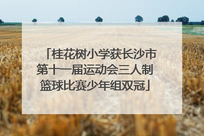 桂花树小学获长沙市第十一届运动会三人制篮球比赛少年组双冠