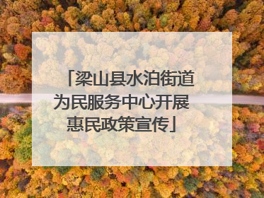 梁山县水泊街道为民服务中心开展惠民政策宣传
