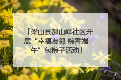 梁山县郝山峰社区开展“幸福友邻 粽香端午”包粽子活动