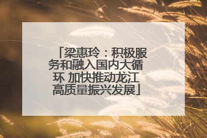 梁惠玲：积极服务和融入国内大循环 加快推动龙江高质量振兴发展
