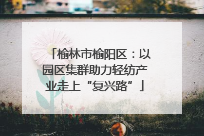 榆林市榆阳区：以园区集群助力轻纺产业走上“复兴路”