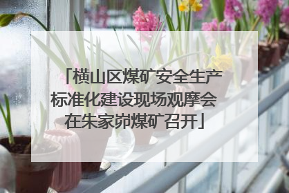 横山区煤矿安全生产标准化建设现场观摩会在朱家峁煤矿召开