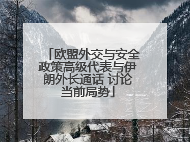 欧盟外交与安全政策高级代表与伊朗外长通话 讨论当前局势