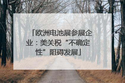 欧洲电池展参展企业：美关税“不确定性”阻碍发展