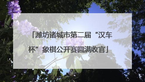 潍坊诸城市第二届“汉车杯”象棋公开赛圆满收官