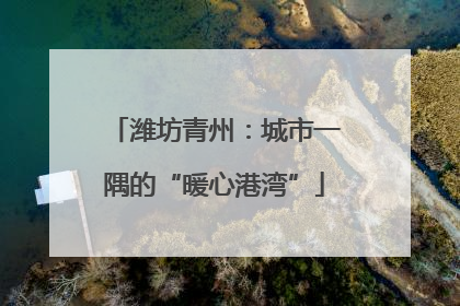 潍坊青州：城市一隅的“暖心港湾”