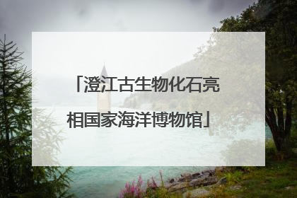 澄江古生物化石亮相国家海洋博物馆