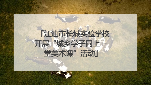 江油市长城实验学校开展“城乡学子同上一堂美术课”活动
