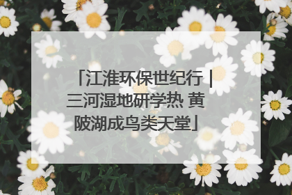 江淮环保世纪行｜三河湿地研学热 黄陂湖成鸟类天堂