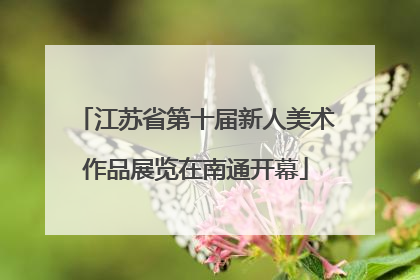 江苏省第十届新人美术作品展览在南通开幕