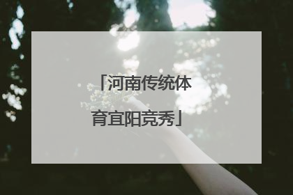 河南传统体育宜阳竞秀