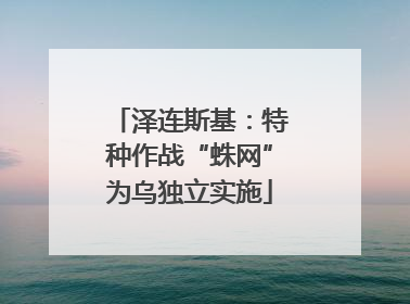 泽连斯基：特种作战“蛛网”为乌独立实施