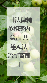 法律精英相聚内蒙古 共绘AI法治新蓝图