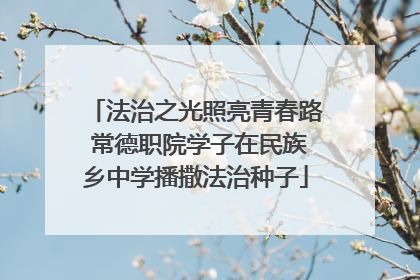 法治之光照亮青春路 常德职院学子在民族乡中学播撒法治种子