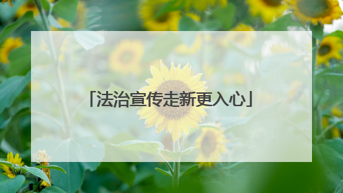 法治宣传走新更入心