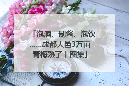 泡酒、制酱、泡饮……成都大邑3万亩青梅熟了丨图集