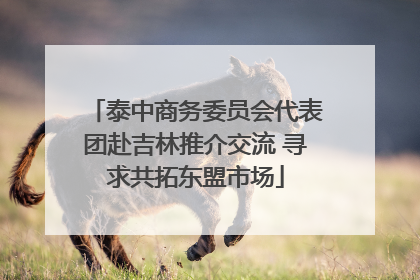 泰中商务委员会代表团赴吉林推介交流 寻求共拓东盟市场