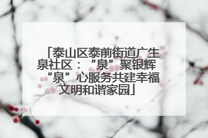 泰山区泰前街道广生泉社区：“泉”聚银辉“泉”心服务共建幸福文明和谐家园