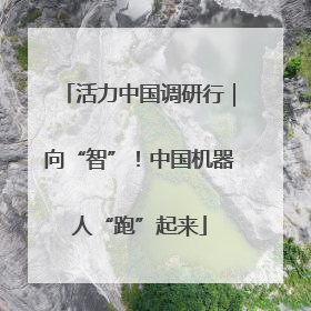 活力中国调研行｜向“智”！中国机器人“跑”起来