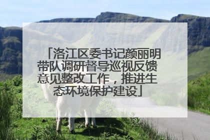 洛江区委书记颜丽明带队调研督导巡视反馈意见整改工作，推进生态环境保护建设