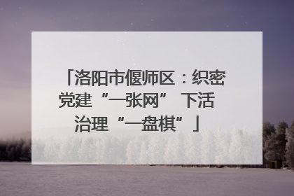 洛阳市偃师区：织密党建“一张网” 下活治理“一盘棋”