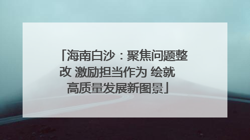 海南白沙：聚焦问题整改 激励担当作为 绘就高质量发展新图景
