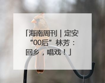 海南周刊｜定安“00后”林芳：回乡，唱戏！