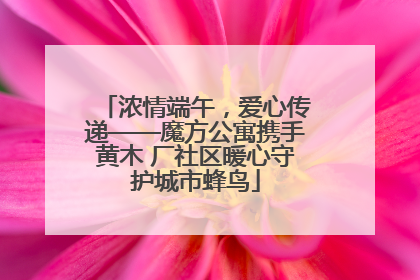 浓情端午，爱心传递——魔方公寓携手黄木 厂社区暖心守护城市蜂鸟