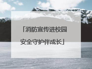 消防宣传进校园 安全守护伴成长