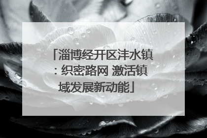 淄博经开区沣水镇：织密路网 激活镇域发展新动能