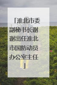 淮北市委副秘书长谢谢出任淮北市国防动员办公室主任