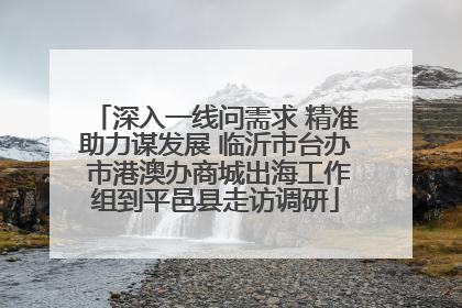 深入一线问需求 精准助力谋发展 临沂市台办 市港澳办商城出海工作组到平邑县走访调研