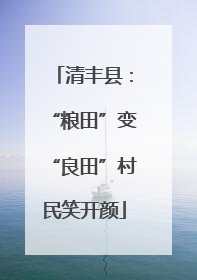 清丰县：“粮田”变“良田”村民笑开颜