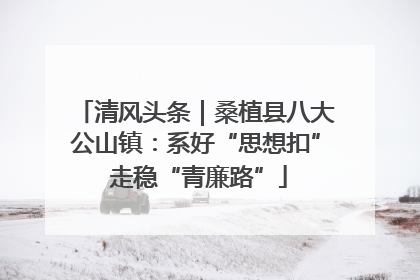 清风头条｜桑植县八大公山镇：系好“思想扣” 走稳“青廉路”