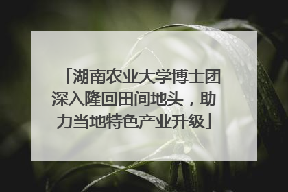 湖南农业大学博士团深入隆回田间地头，助力当地特色产业升级