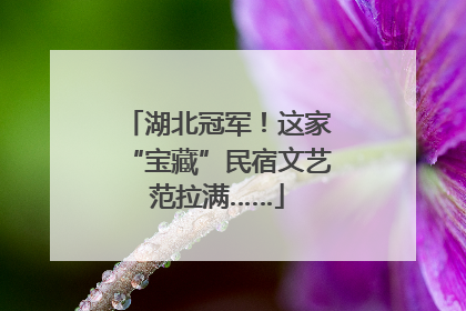 湖北冠军！这家“宝藏”民宿文艺范拉满……