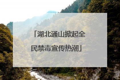 湖北通山掀起全民禁毒宣传热潮