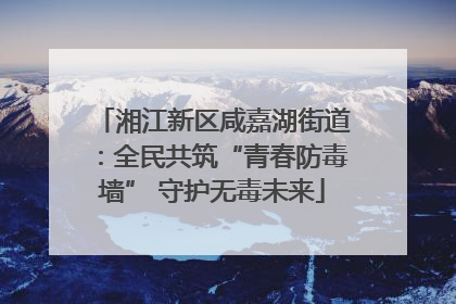 湘江新区咸嘉湖街道：全民共筑“青春防毒墙” 守护无毒未来