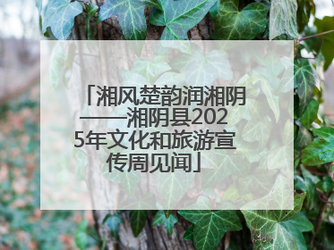 湘风楚韵润湘阴——湘阴县2025年文化和旅游宣传周见闻