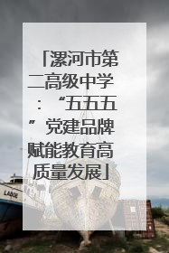 漯河市第二高级中学：“五五五”党建品牌赋能教育高质量发展