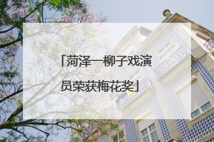 菏泽一柳子戏演员荣获梅花奖