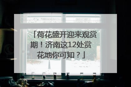 荷花盛开迎来观赏期！济南这12处赏花地你可知？