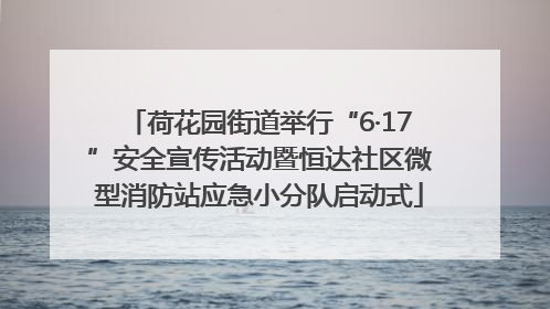荷花园街道举行“6·17”安全宣传活动暨恒达社区微型消防站应急小分队启动式
