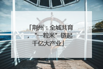 荆州：全城共育，“一粒米”链起千亿大产业