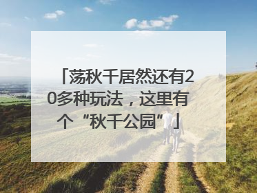 荡秋千居然还有20多种玩法，这里有个“秋千公园”