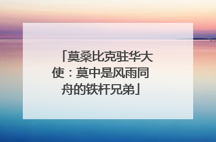 莫桑比克驻华大使：莫中是风雨同舟的铁杆兄弟