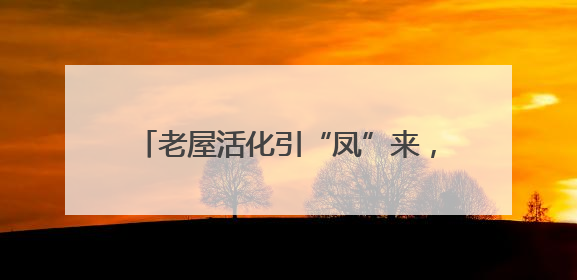 老屋活化引“凤”来，梨园村蝶变“网红村”