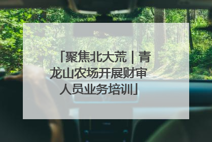 聚焦北大荒｜青龙山农场开展财审人员业务培训