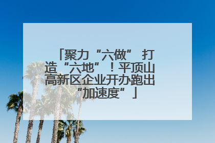 聚力“六做” 打造“六地”！平顶山高新区企业开办跑出“加速度”