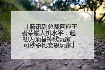 腾讯副总裁回应王者荣耀人机水平：起初为顶替掉线玩家，可秒杀比赛级玩家